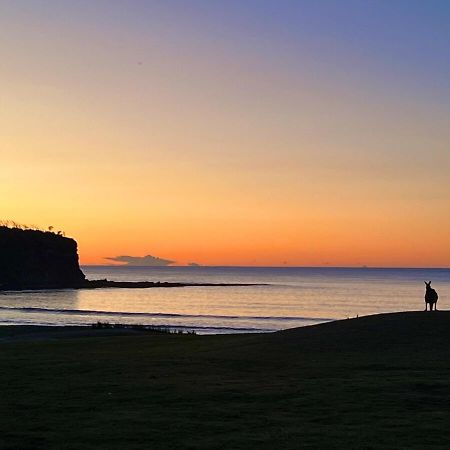 Alexander'S Cottage, Pebbly Beach East Lynne 外观 照片