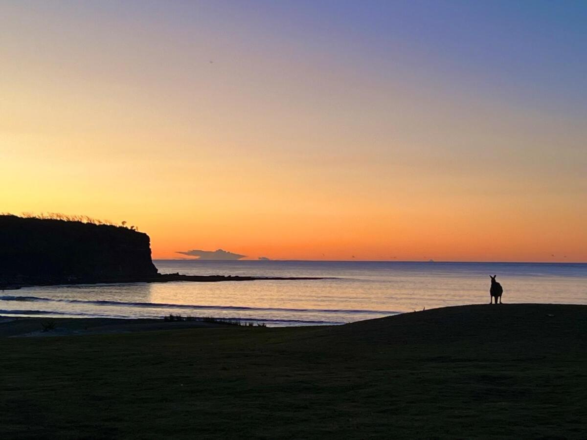 Alexander'S Cottage, Pebbly Beach East Lynne 外观 照片