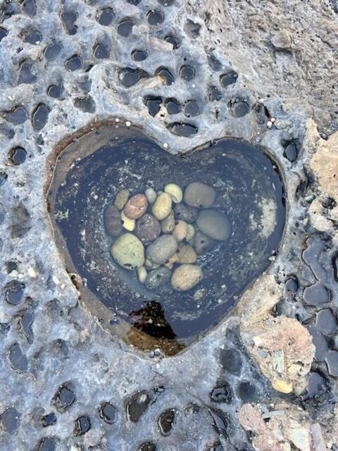 Alexander'S Cottage, Pebbly Beach East Lynne 外观 照片