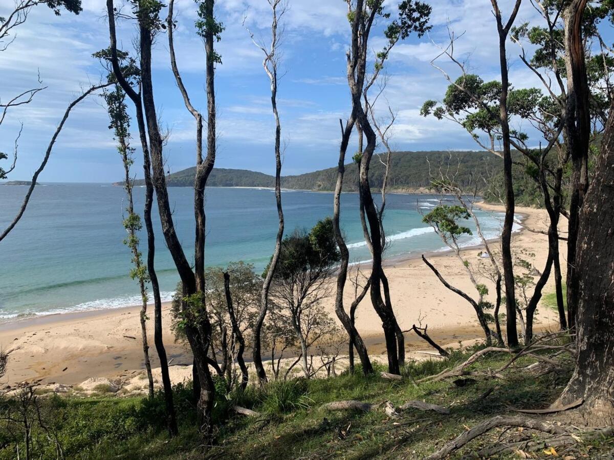 Alexander'S Cottage, Pebbly Beach East Lynne 外观 照片